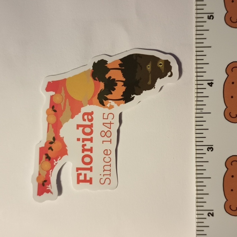 10/$10 Florida Sunshine State Sticker Phone Bottle Laptop Decal US Stickers